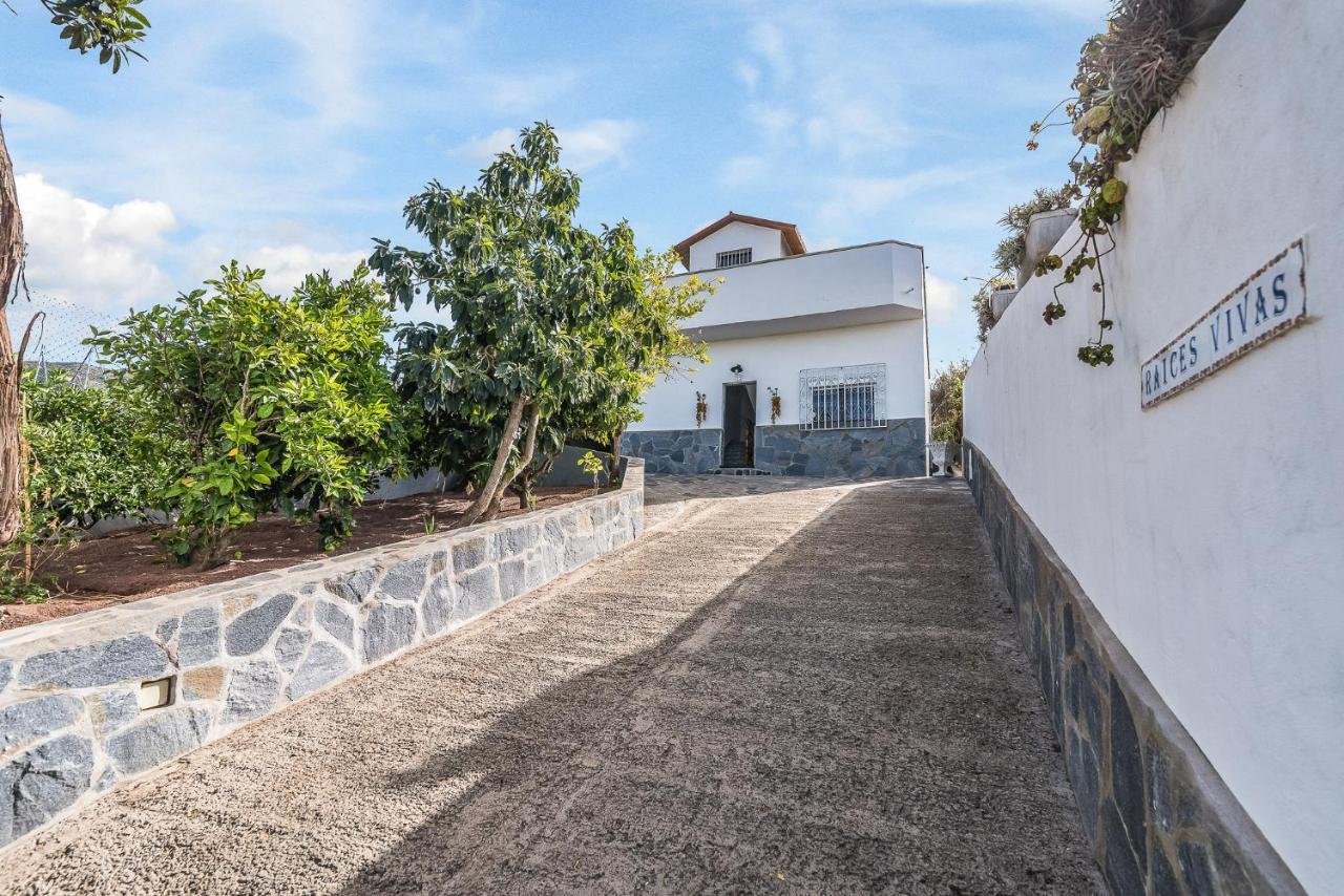 Raices Vivas Vivienda Vacacional Vega de San Mateo Zewnętrze zdjęcie